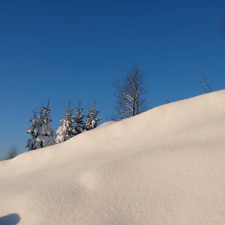 13 Impasse Du Rein Des Genievres * Gérardmer